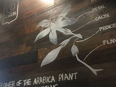 -Bco豆库(星耀天地店)