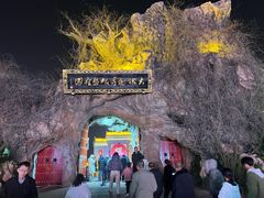 -大槐树寻根祭祖园