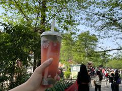 绛初匀·樱花茶-鸡鸣赐茶(鸡鸣寺路店)