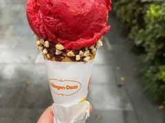 -哈根达斯(武汉天地店)