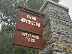 -东郊湿地公园