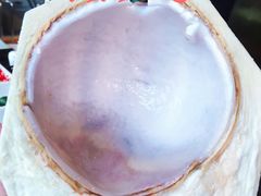 海南鲜椰青-烹然四季椰子鸡火锅(团结湖总店)