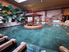 -陆地游轮吉林神农温泉