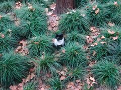 -常熟路(地铁站)