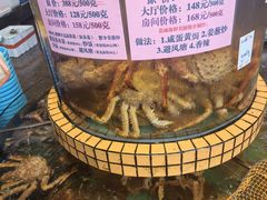 -荔城生鲜盛宴(番禺旗舰店)
