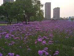 -杭州城北体育公园