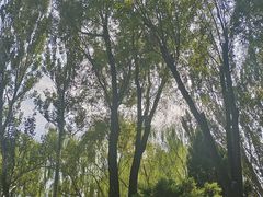 -北坞公园