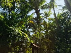 -三亚珠江南田温泉度假区