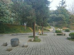 -西苑公园
