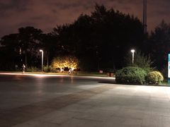 -九里河湿地公园