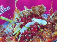 -老板恋上鱼(恒隆广场店)