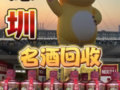 -深圳市宝安体育中心体育场