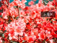 -七娘山