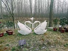 -合肥滨湖国家森林公园