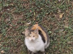 -鱼酷活鱼烤鱼(中联广场店)