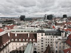 -斯蒂芬主教座堂(Stephansdom)