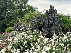 -人民公园(罗湖区)