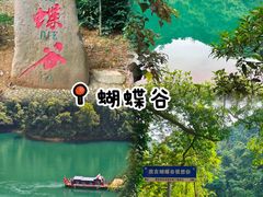 -鼎香皇高佬苏裹蒸粽