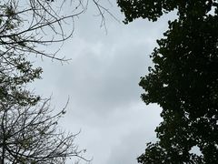 -史努比缤纷世界