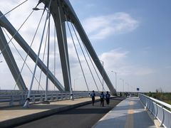 -春花秋色城市公园