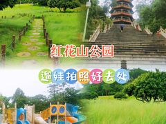 -红花山公园