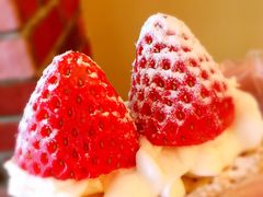 -治愈系甜品The Soothing Dessert(科海大楼店)