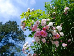 -敬亭山风景名胜区