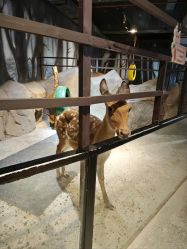 -酷嗒动物文化乐园(cutezoo西溪乐天城店)