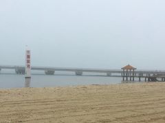-东郊椰林