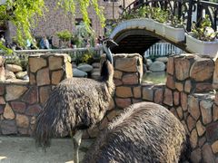 -J Create城市露营咖啡·简餐·宠物(上海动物园店)