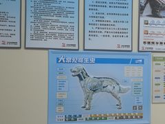 -艾贝尔宠物医院 ·内科全科(梁溪路店)