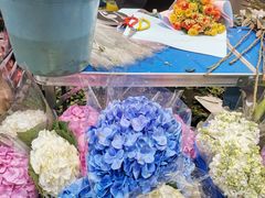 -循礼门鲜花花市(武汉循礼门店)