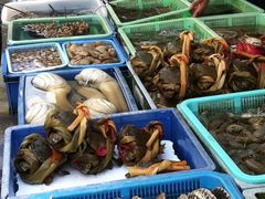 -澳门环岛游湾仔码头