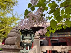 -红螺寺