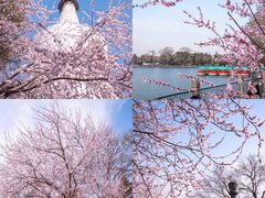 -北海公园