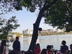 -惠州西湖风景名胜区-泗洲塔