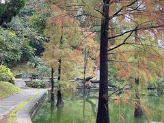 -广州市白云山风景名胜区