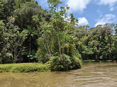 -热带雨林自然公园
