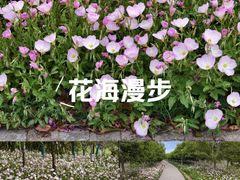 -南京邮电大学(仙林校区)