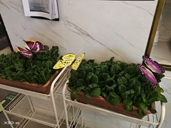 -烹然四季椰子鸡火锅(姚家园万象汇店)