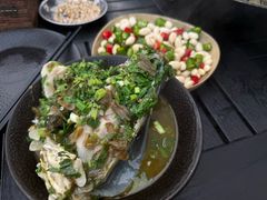 -马村鱼头