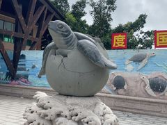 -广东惠东海龟国家级自然保护区