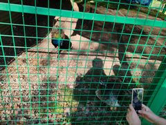 -华东政法大学(松江校区)