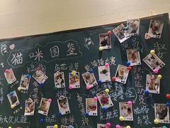 -藏猫猫咖啡主题馆(中央大道店)