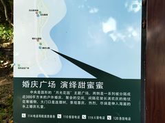 -深圳湾公园-停车场