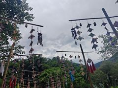 -西双版纳原始森林公园