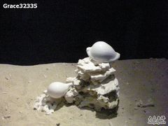 -亚龙湾中心广场·贝壳馆