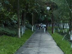 -重庆彩云湖湿地公园