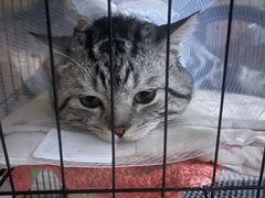 -酷宠动物医院(天通西苑店)