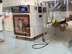 -全心全意动物诊疗中心医院(北苑店)